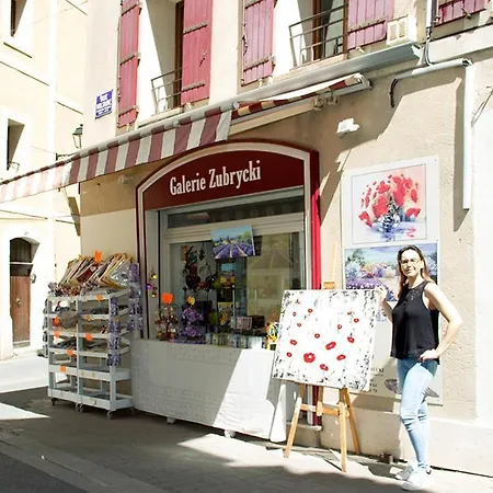 Apartment Gite Les Iris L'Isle-sur-la-Sorgue